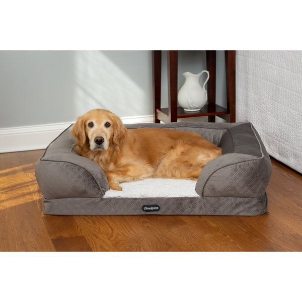 beautyrest dog bed cuddler
